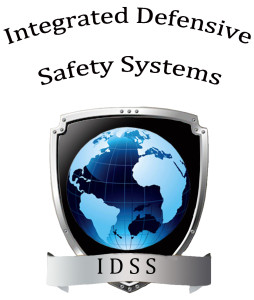 logo idssnero